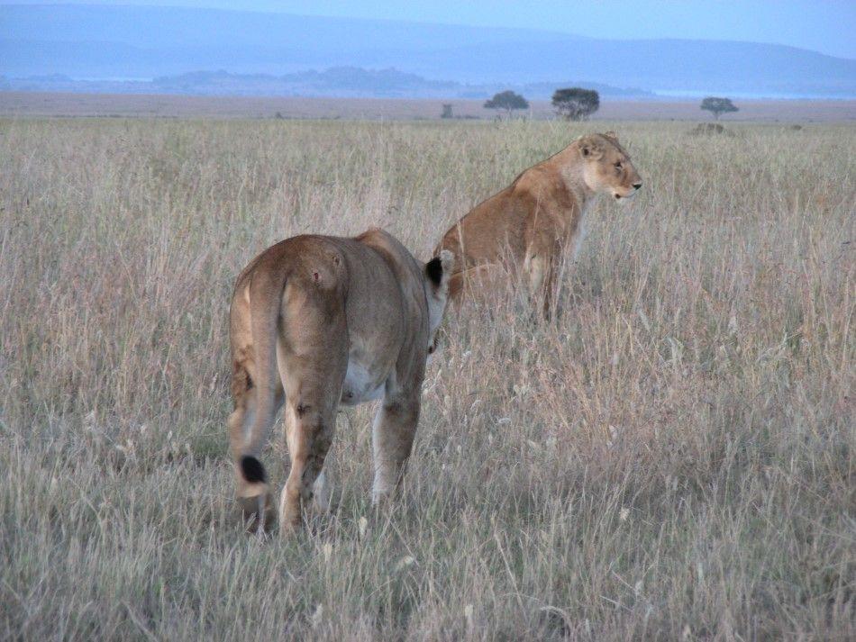Tanzania-174-Jan-Lauwers-08-Custom