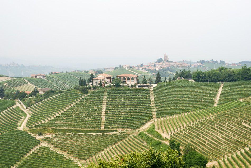 Piemonte-Jospeh-Cuvelier-DSC02742_export_w950