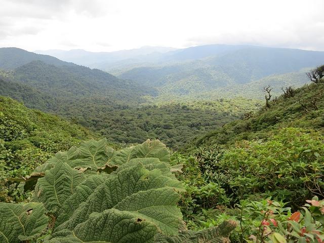 Costa Rica 2400159 640