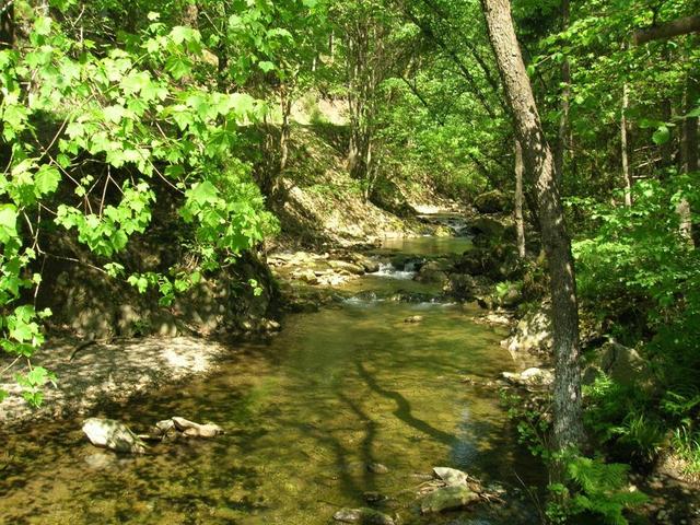 Ardennen-3_export