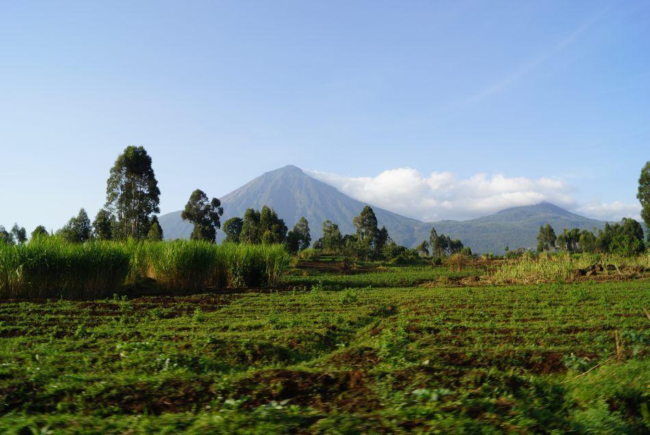 DSC07993_export