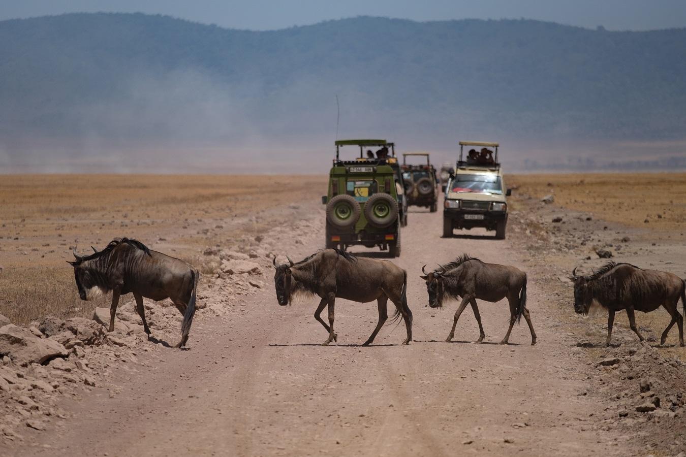 Peteropitek 2017 Kamperen Ngorongoro Krater 3