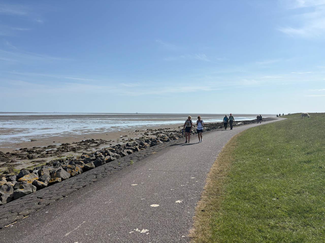 NL1TSR IMG 4716 Uus Knops