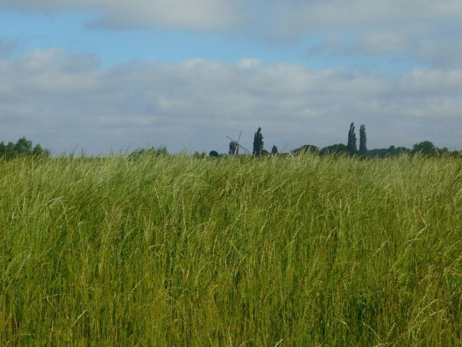 dscn1386-950px