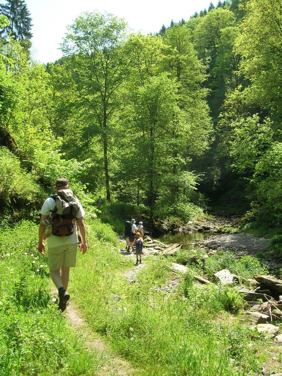 Ardennen-4_export