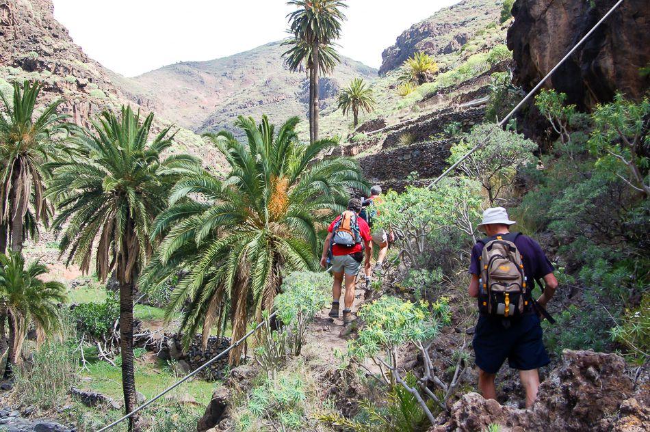 La Gomera 07 Luc Lioen 16_export_w950