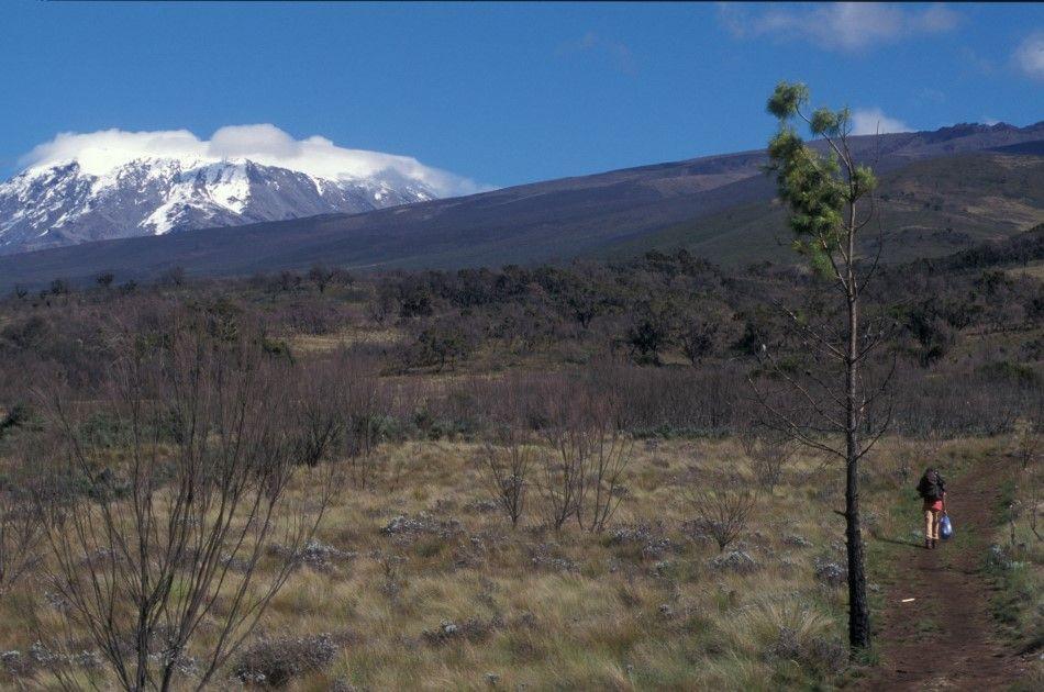 Kilimanjaro-3_Dieter-Telemans-2-Custom