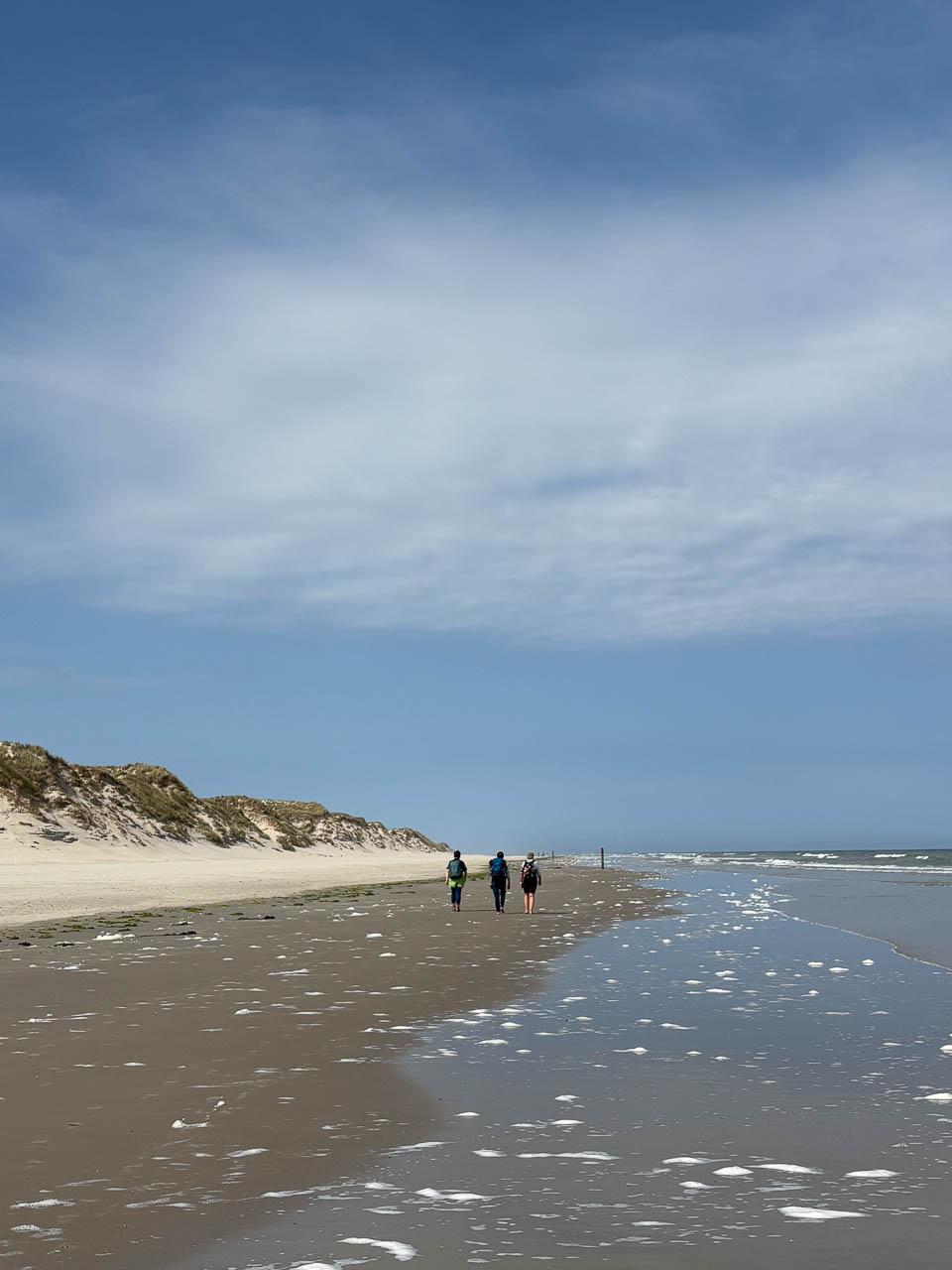 NL1TSR IMG 5195 Uus Knops