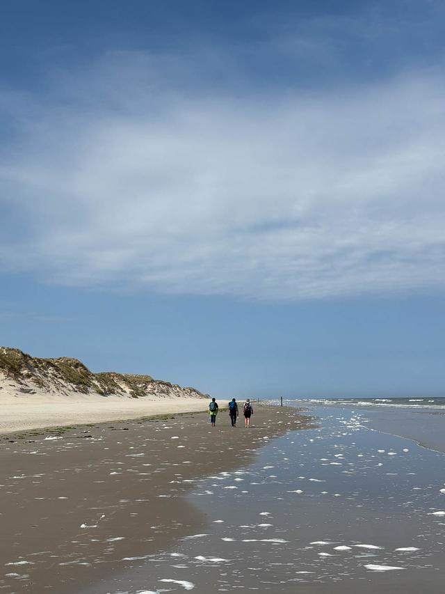 NL1TSR IMG 5195 Uus Knops