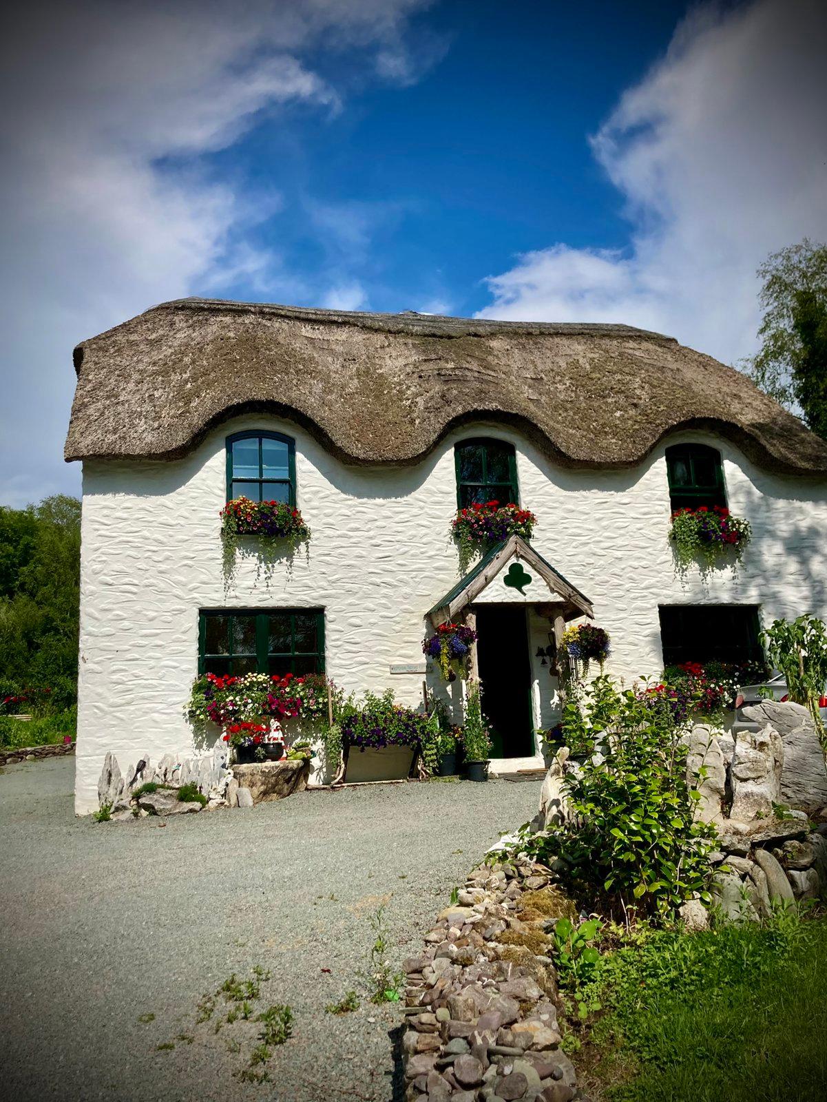 3. B&B