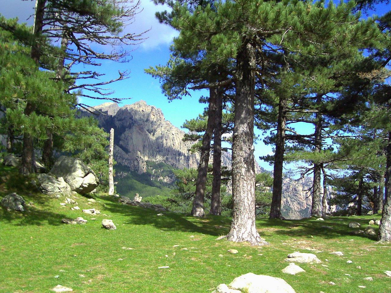 Selectie Col Bavella2