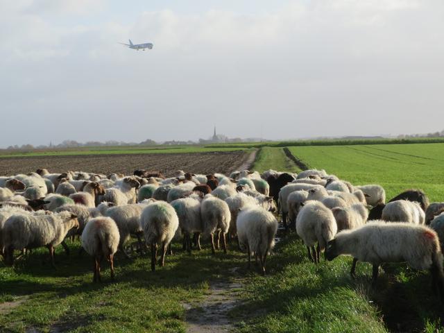Image 15