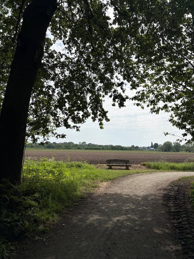 Uus Knops 5