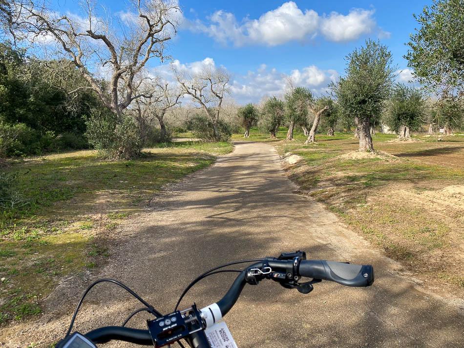 IMG 2626 Icloud‑Foto’S Melissa Scialpi W950