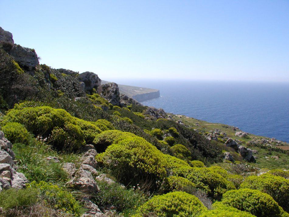 GR12-75-Malta-06-Kristien-Roels-2_export_w950