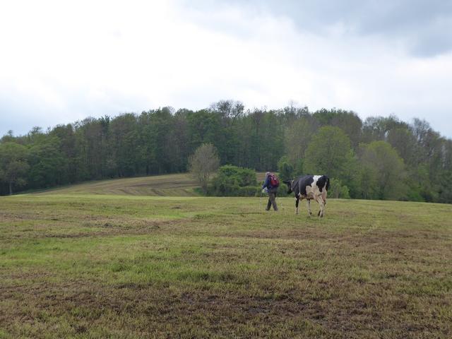 Image 17