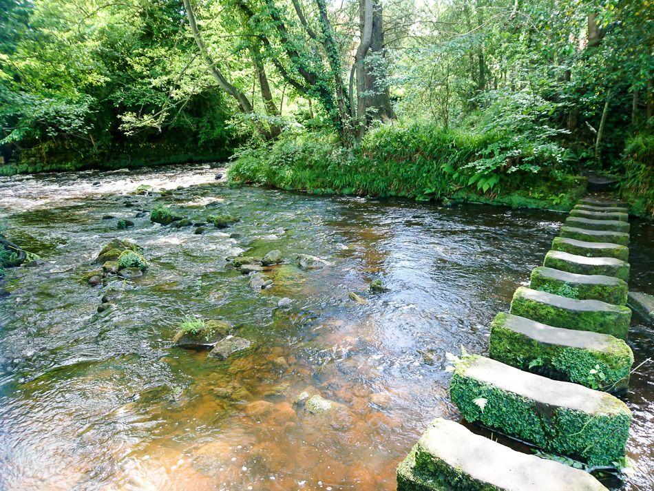 13 Egton Bridge Stepping Stones O_export_w950