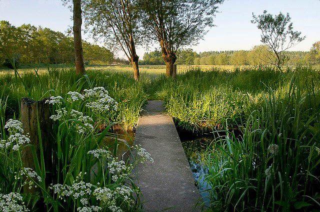 wandelarrangement-3_bosland_w950