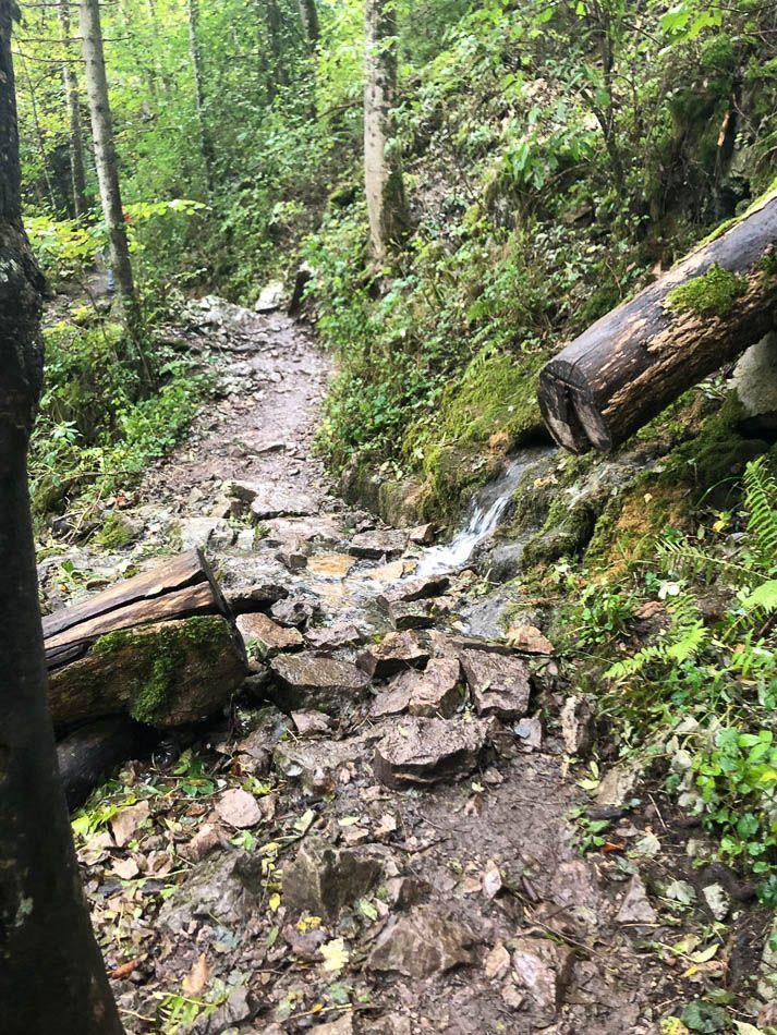 IMG-20191005-WA0047_Daniela Kotaras_w950 (2)