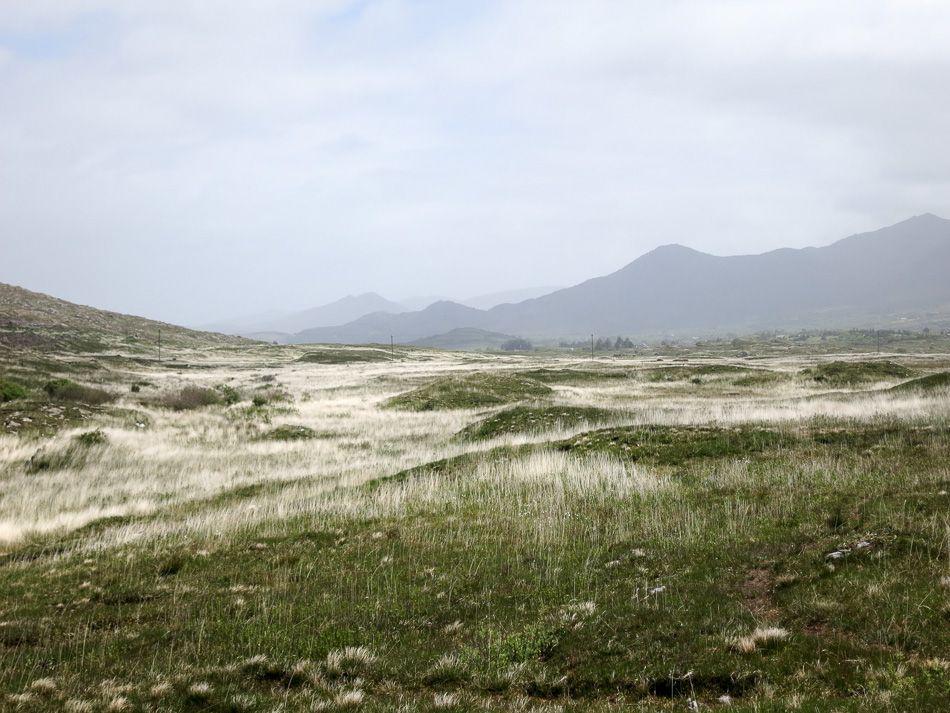 Beara-015_export_w950