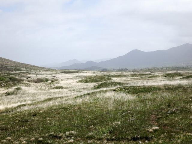 Beara-015_export_w950