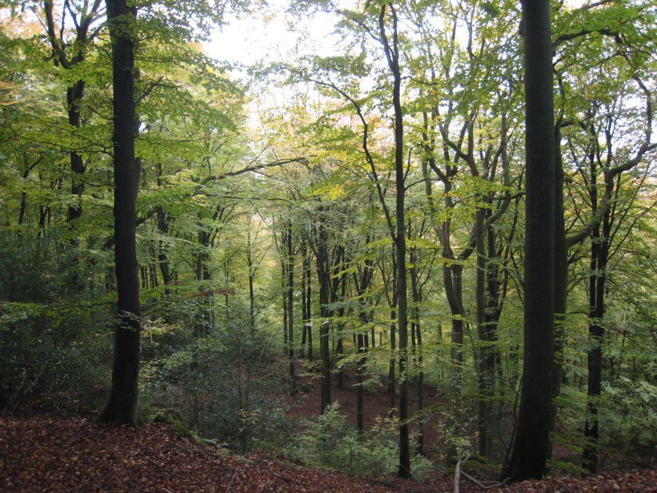 Bollendorf-09-Jef-Mertens-IMG_2353_export
