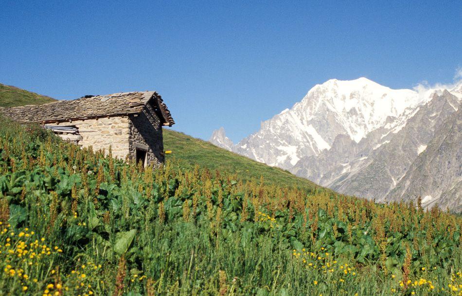 mont blanc huisje_karin warnant_export_w950