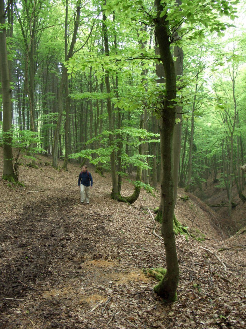 Vulkaaneifel 05 Dominique Chantrain 3 Export