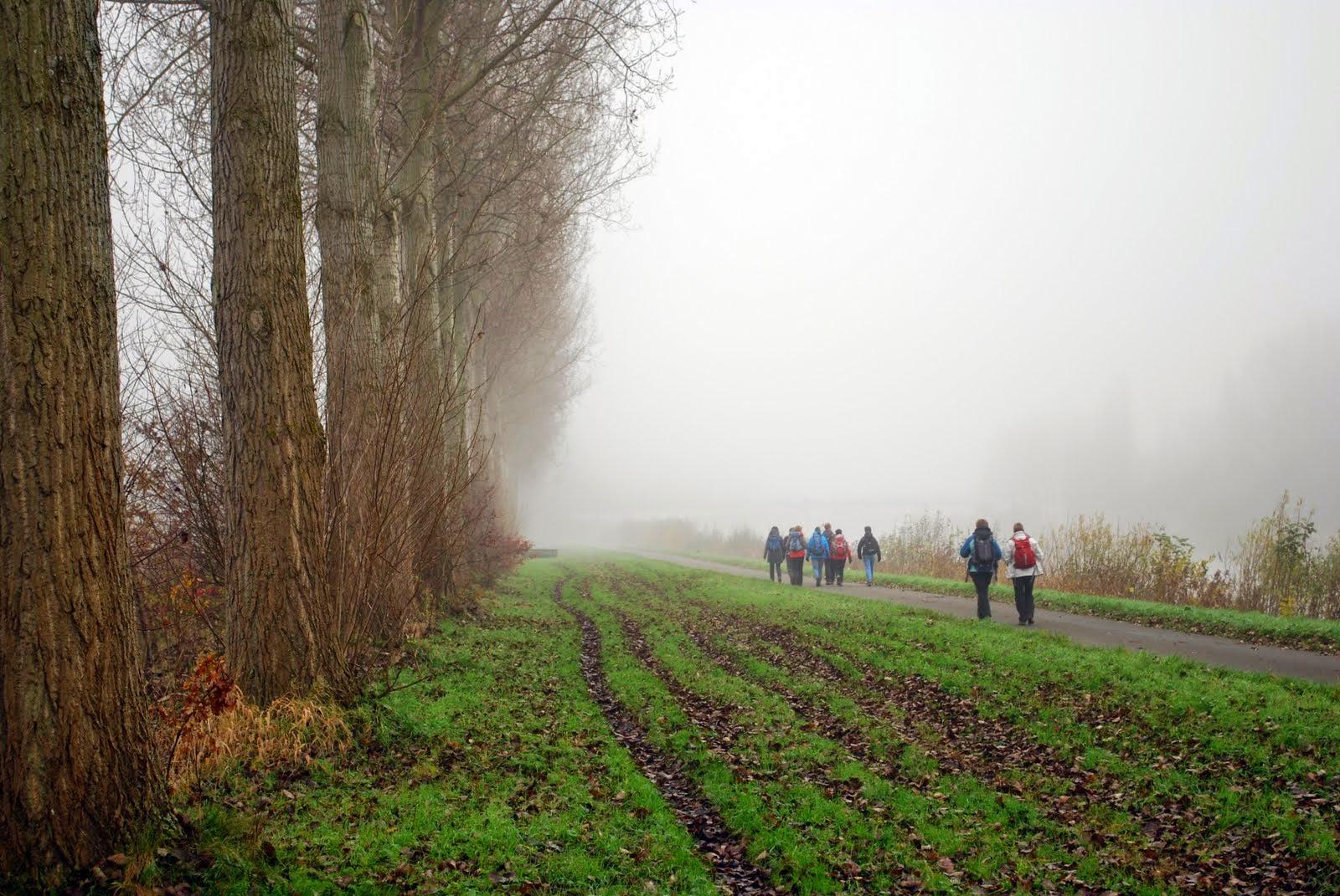 DSC_21_Veronique_De_Smedt