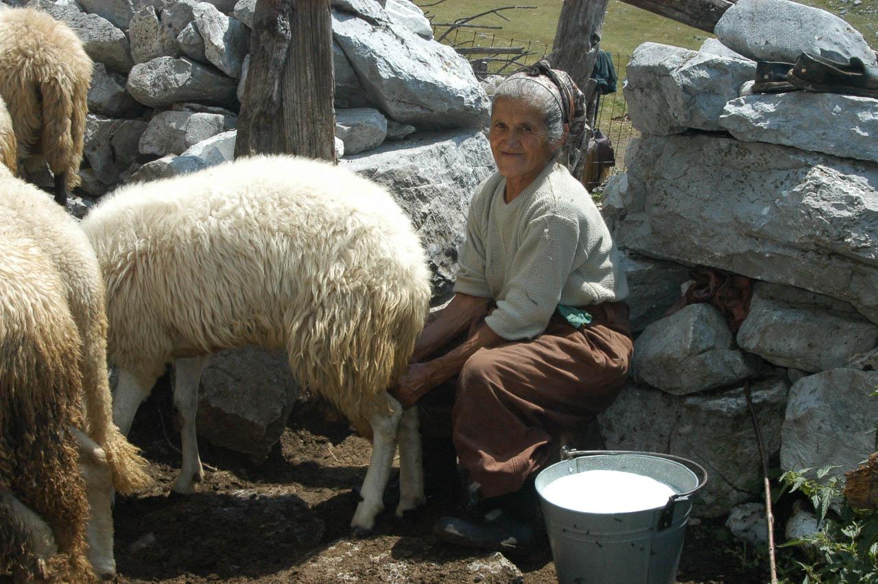Yugotravel Durmitor Herders Montenegro