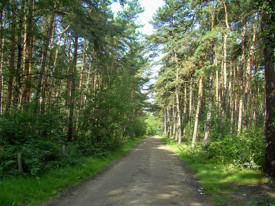 BILD0917_export_export_w950