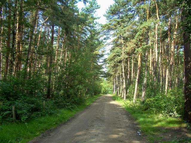 BILD0917_export_export_w950