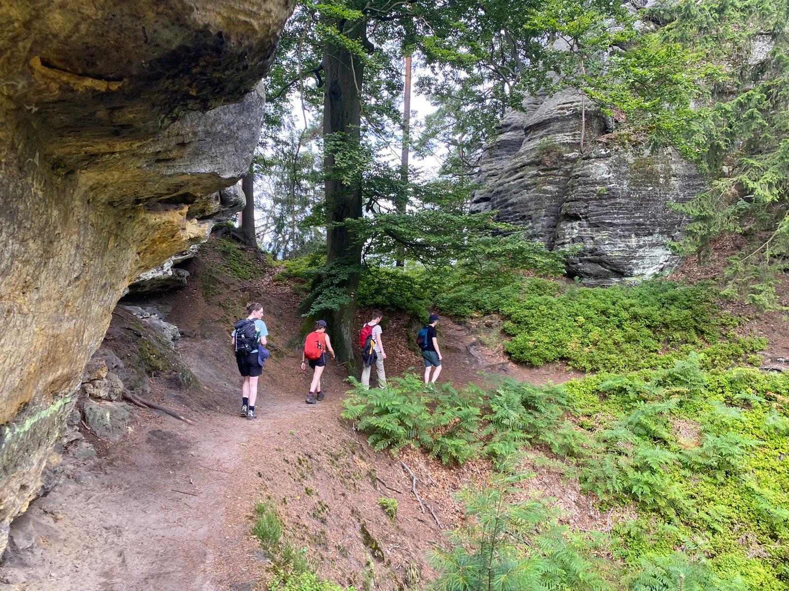 IMG 0611