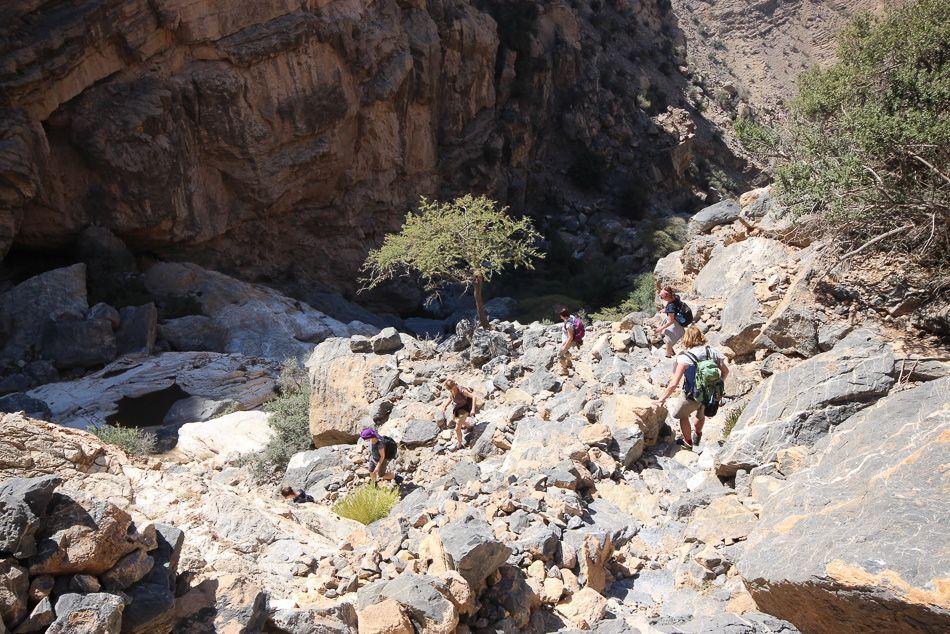 Oman 200_export_w950 (1)