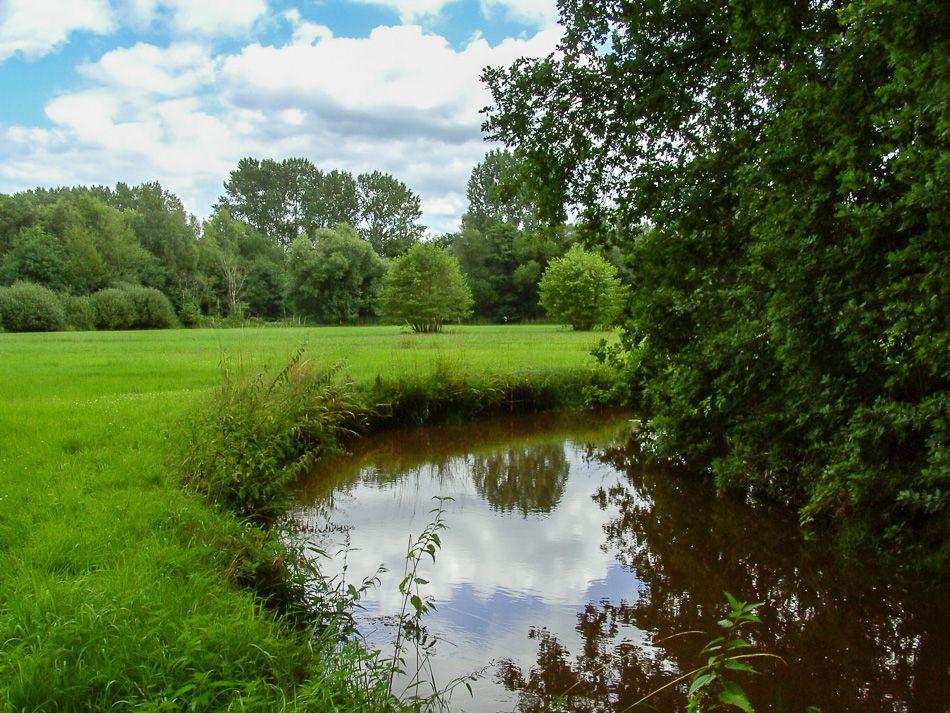 BILD0892_export_export_w950