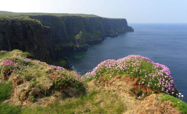 Ierland-074-Jan-Lauwers_export
