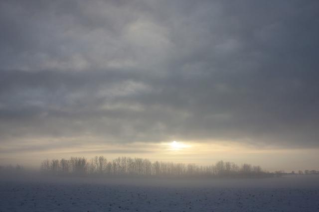 Winter 995354 1280