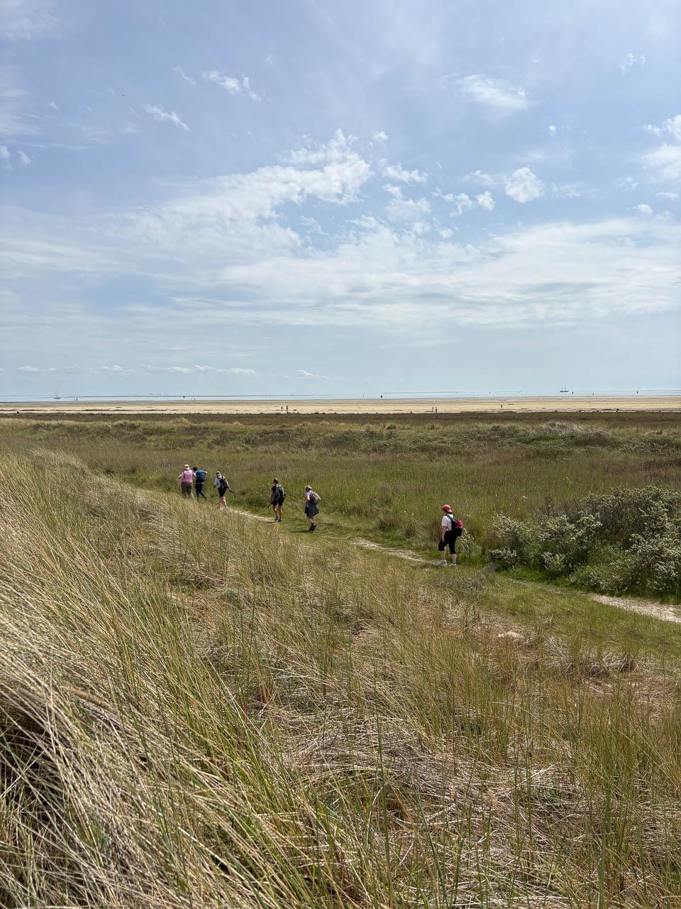 NL1TSR IMG 5274 Uus Knops