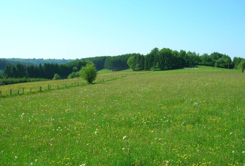 Ardennen-1_export