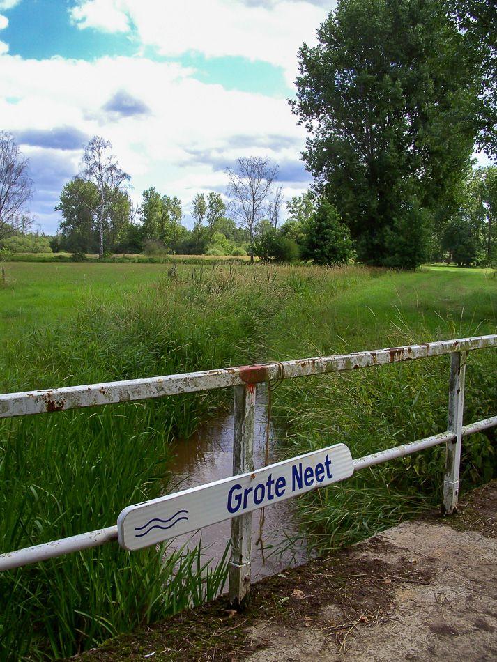 BILD0884_export_export_w950