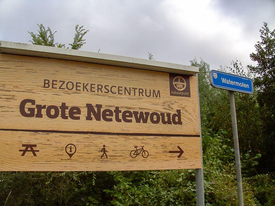 BILD0911_export_export_w950