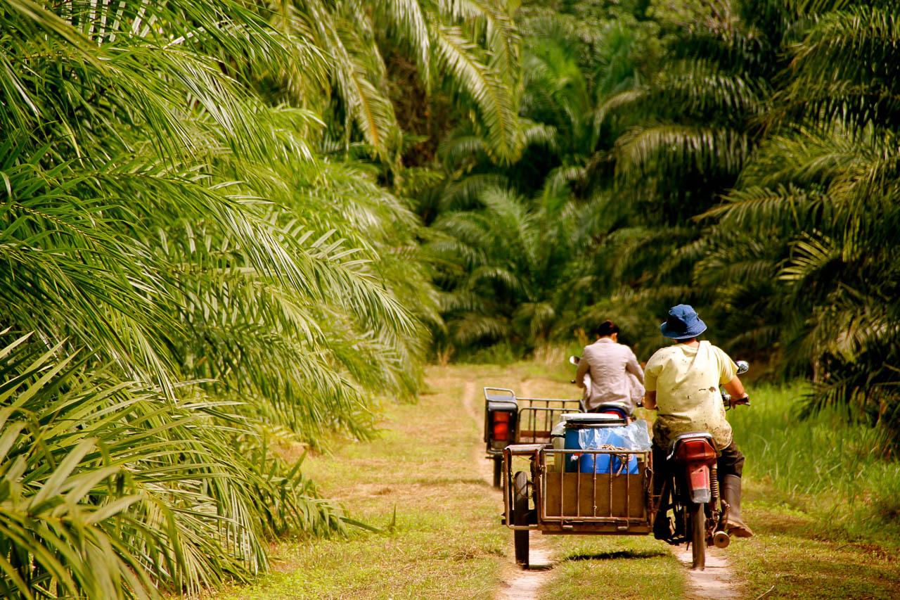 Veronique Van Hoorick IMG 7551 Veronique Van Hoorick