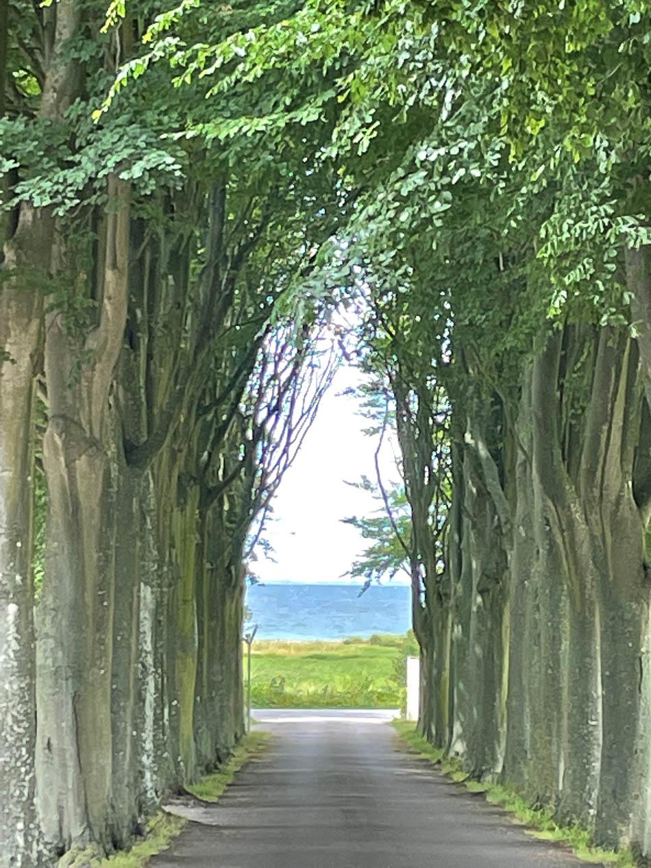 Driveway Hotel Gl. Avernæs Helnæs DK6FNA Fyn W950