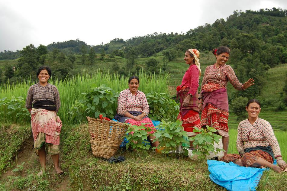 NP_F_07_Scheldeman_Famke_NAGARKOT_132-NP5KTJ-Scheldeman Famke-w950