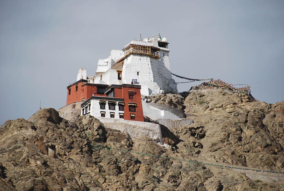 Leh Palace Discoveryjourneysindia (Agent) Agent W950