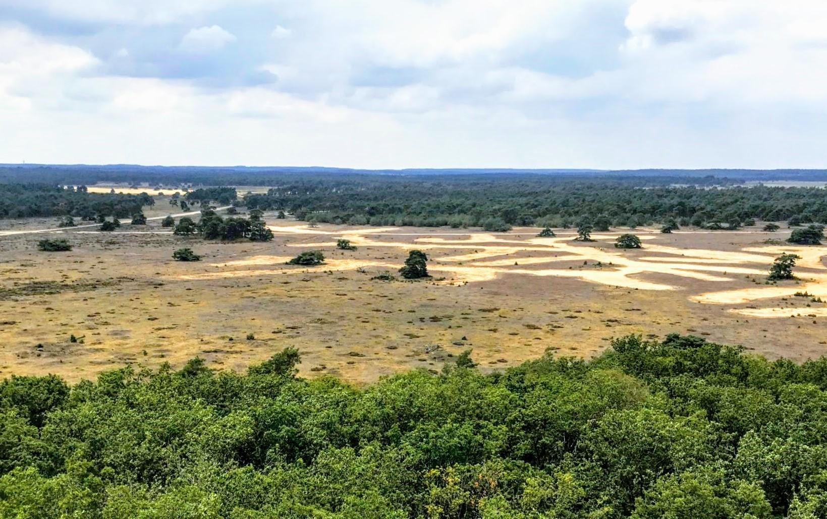 Wandelweekend Veluwe zandvlakte