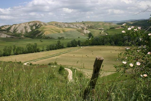 GR14-55-Zuid-Toscane-07-Tonnie-havenith-5_export
