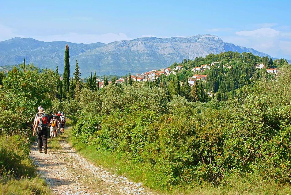 HR5DAA Wandelen Rond Zrnovo Export Ruud Peeten