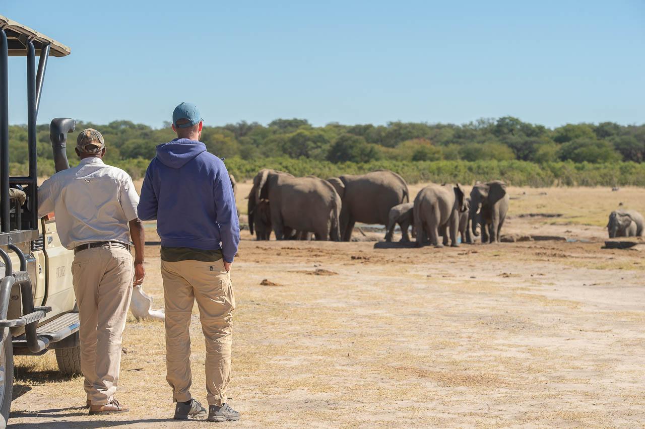Sunways (Agent) Sunway Zimbabwe Hwange NP Bruce Taylor 0628