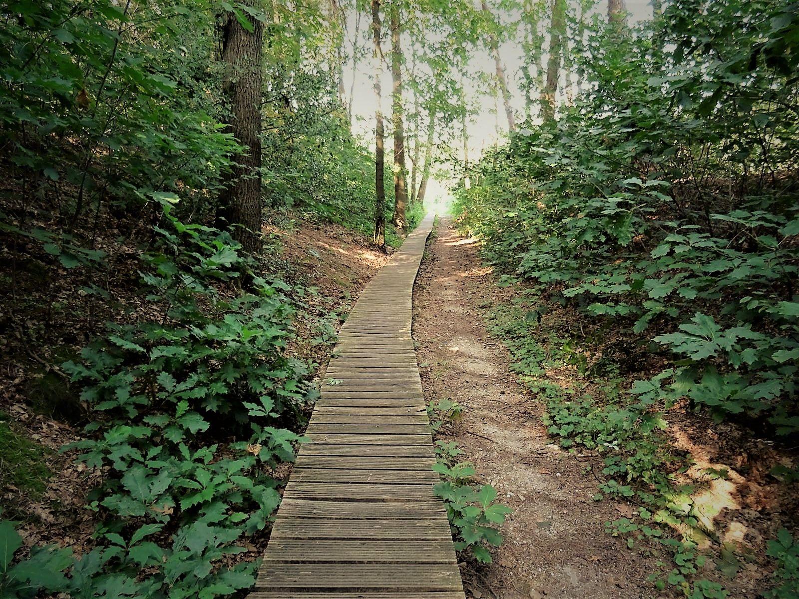 Wandelweekend Limburg - Connecterra wandelen in groep